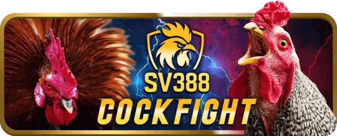Hỗ trợ khách hàng 24/7 w88vt casino